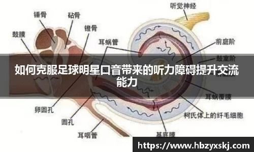 九游体育.九游体育官网入口